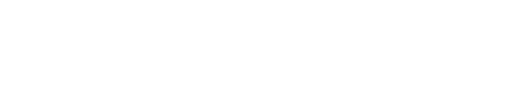 Probulem Logo